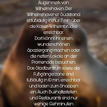 Ferienwohnung Seehund-3